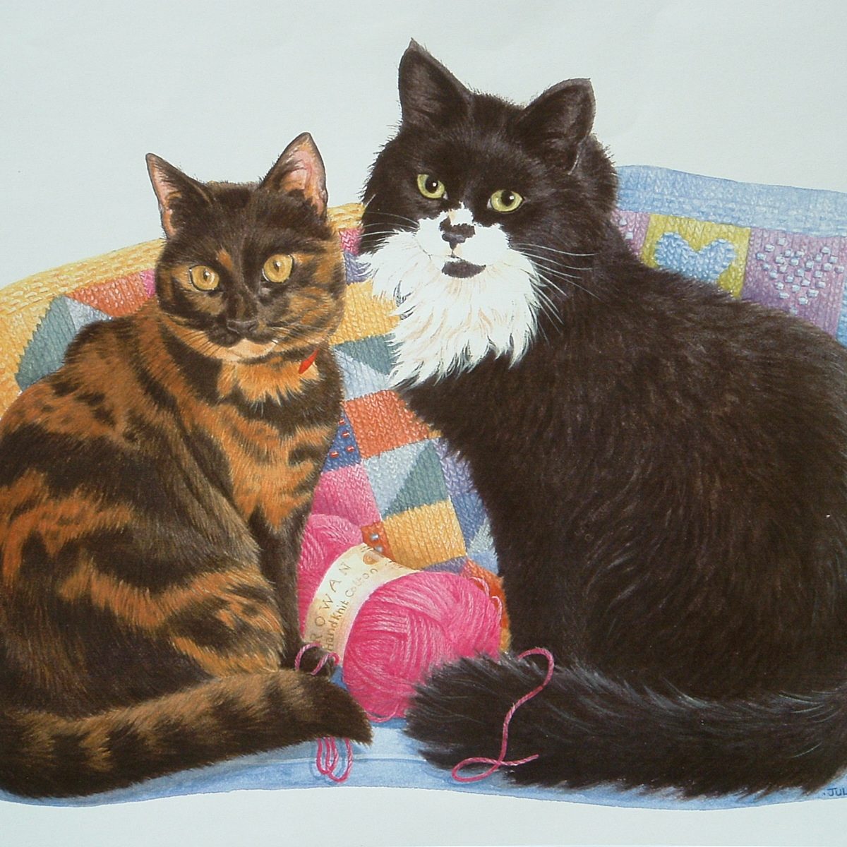 2 Jacob and Marcia Tortoiseshell cat and Black and White